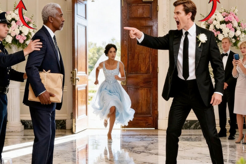Groom Threw Bride’s Father Out for Looking Too Poor — Turned Pale When His CFO Walked In Behind Him