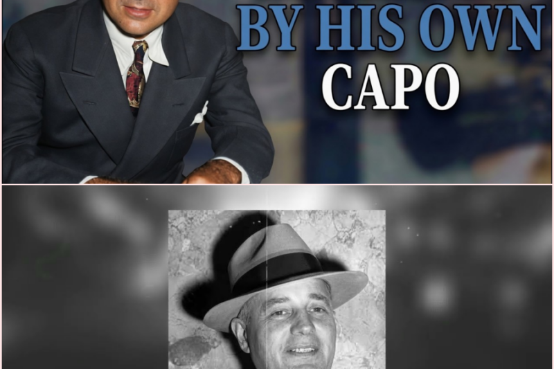 The Real Reason Frank Costello Never Took Revenge on Genovese – HT