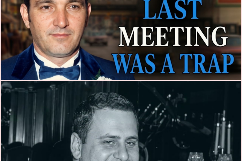 The Real Reason Nicholas Mormando Was Executed by His Own Crew – HT