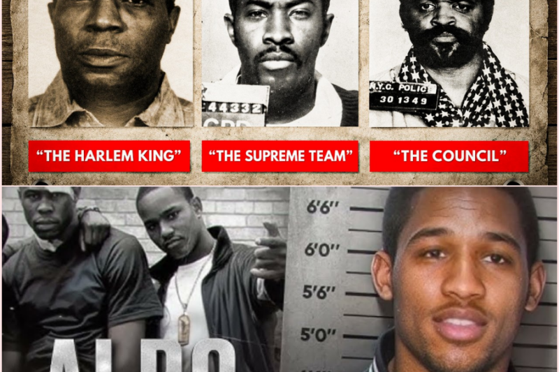 How Every NYC Drug Kingpin Died — Bumpy to the Supreme Team – HT