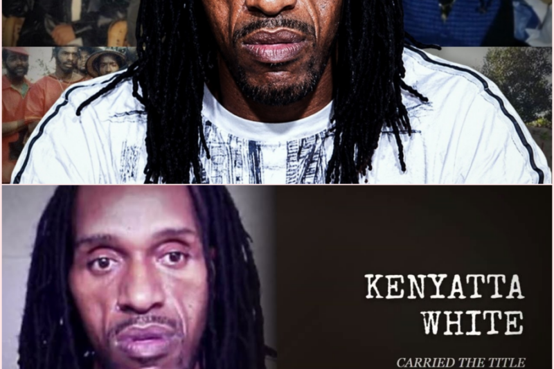Prince Kenyatta: Why the Black P. Stone “Prince” Title Became Chicago’s Deadliest Crown – HT
