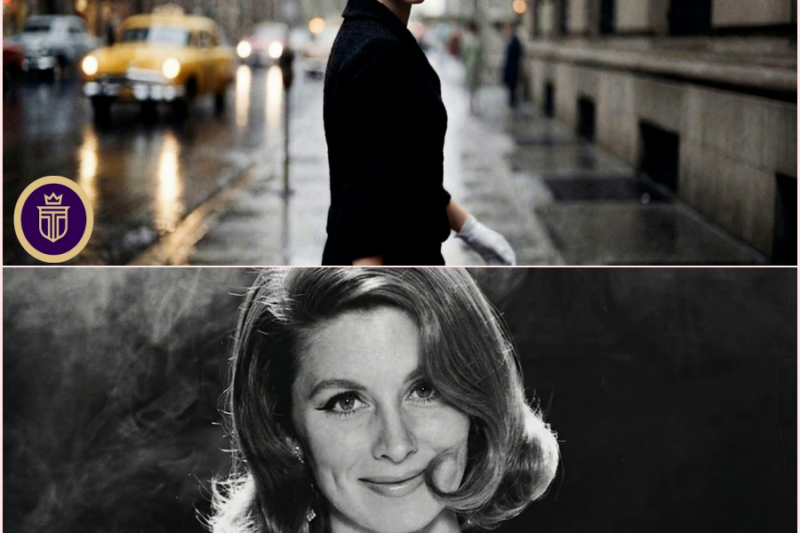 When The Most Beautiful Woman in New York Disappeared In Plain Sight: The Mystery of Suzy Parker – HT