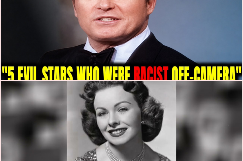 Mike Douglas Broke Silence On the 5 Stars Who Were Public Ally but Privately Racist – HT
