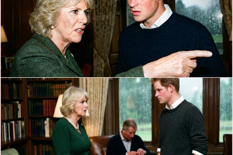 Camilla Ordered Harry to Leave the Room — No One Expected What Followed – HT