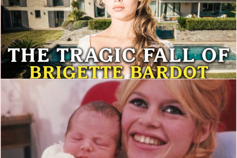 The Sad Story of Brigitte Bardot: An Actress Who Walked Away from the World – HT
