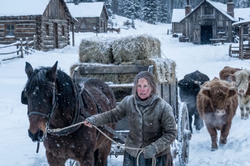 They Said a Widow Couldn’t Run a Ranch — She Proved Them Wrong in One Winter