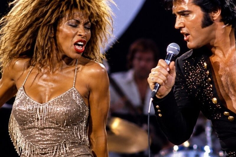The Night Tina Turner Accidentally Challenged Elvis Presley… And Regretted It 30 Seconds Later D