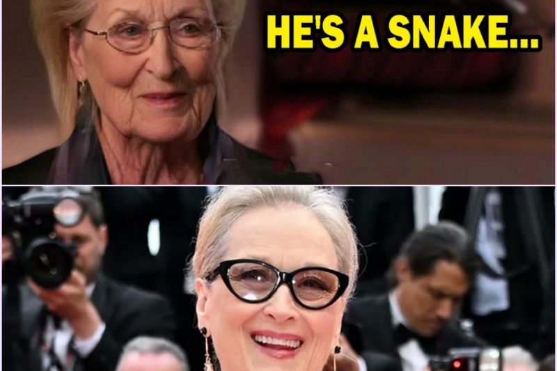 At 76, Meryl Streep Finally Names The Six Actors She Hated The Most