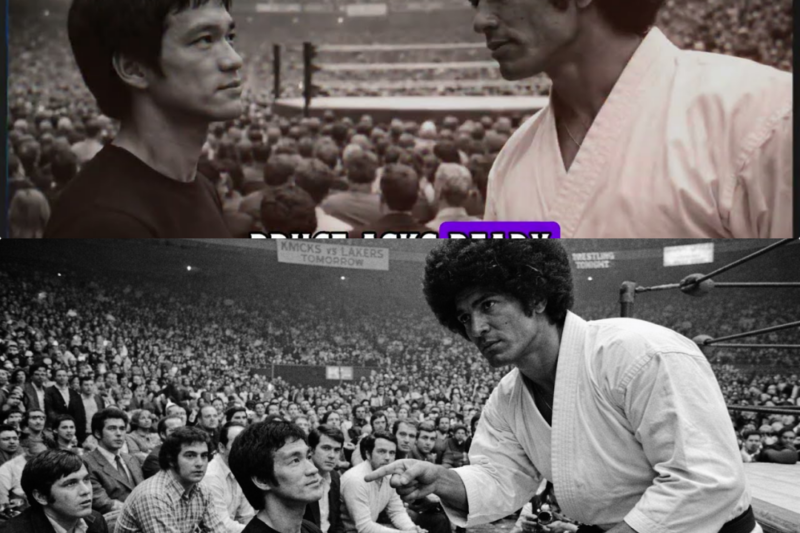 Karate Champion Mike Stone Said ‘Hit Me Full Power, I’ll Keep Fighting’ — Stone Couldn’t Stand JJ