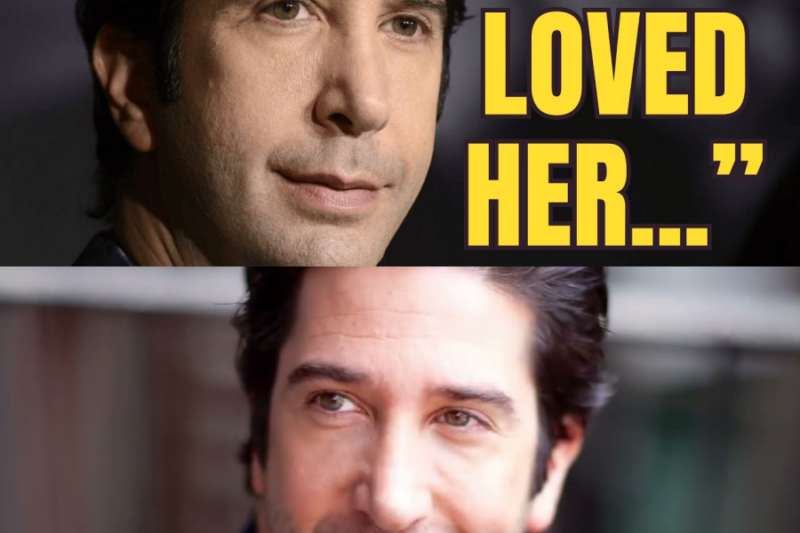 After Divorce, David Schwimmer Confesses: “I Only Love Her”