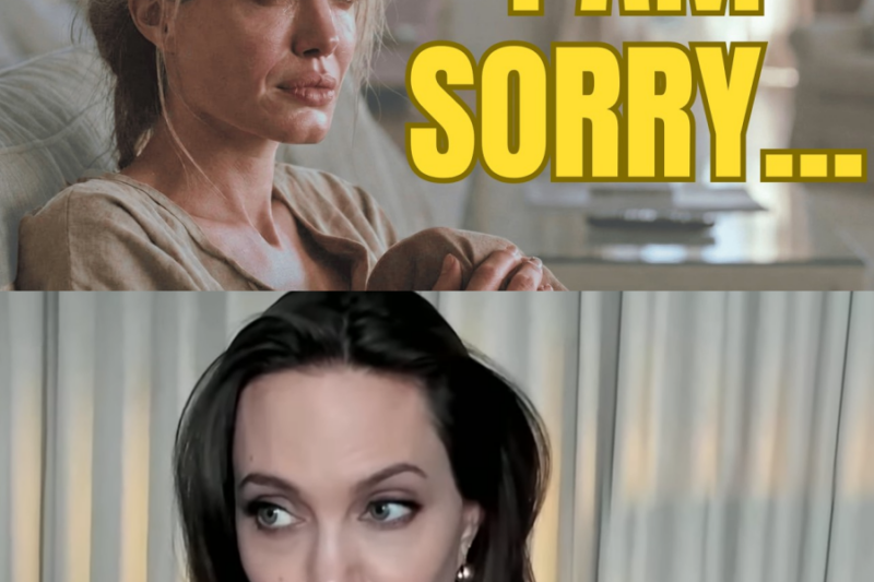 9 Years After Brad Pitt Divorce: What Really Happened to Angelina Jolie?