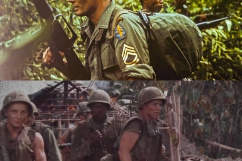 NVA Trackers Followed the Trail… Then Realized MACV-SOG Was Hunting Them