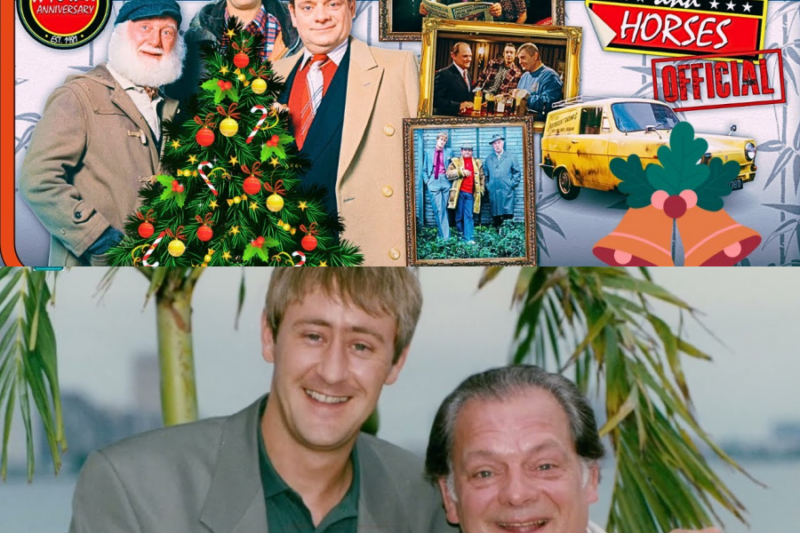 Only fools and horses: christmas with the trotters – Ty