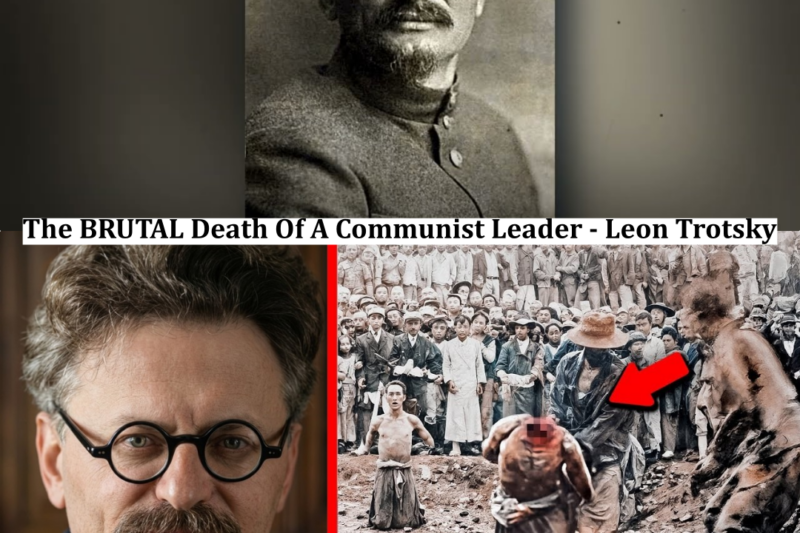 The BRUTAL Death Of A Communist Leader – Leon Trotsky
