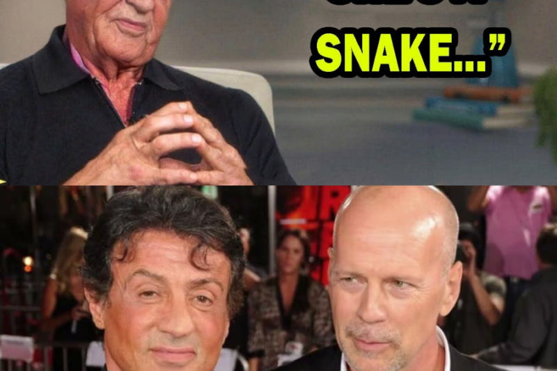 Top 6 Actors Sylvester Stallone HATED The Most