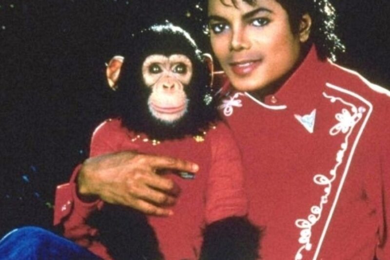 Michael buys a monkey | Michael 2026