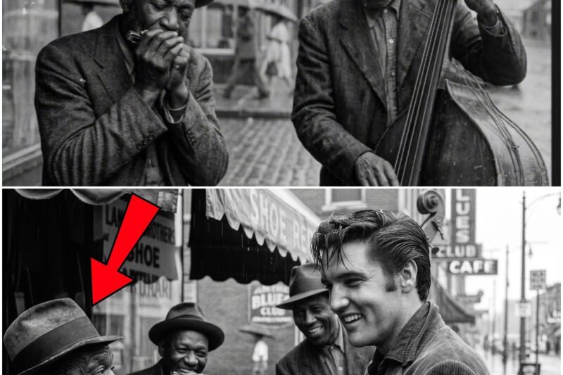 Street Band Was Playing in the Rain — Elvis Stopped and STOOD With Them Until They Finished D