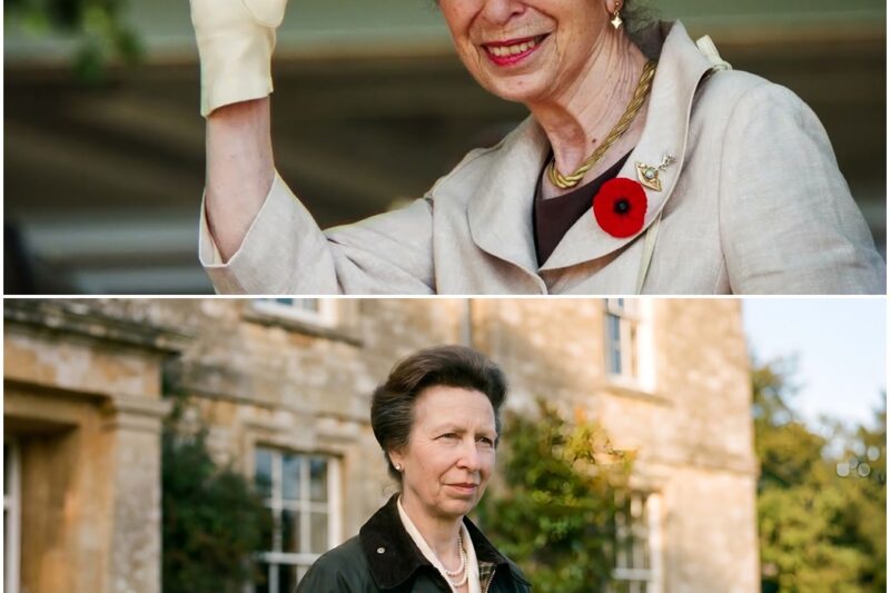 The Royal House Princess Anne Used To Escape the Palace Machine D