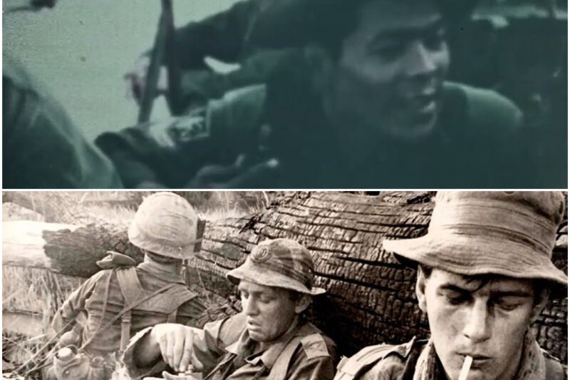 How Firebase Gold Became a Death Trap for the Viet Cong in 1967  V