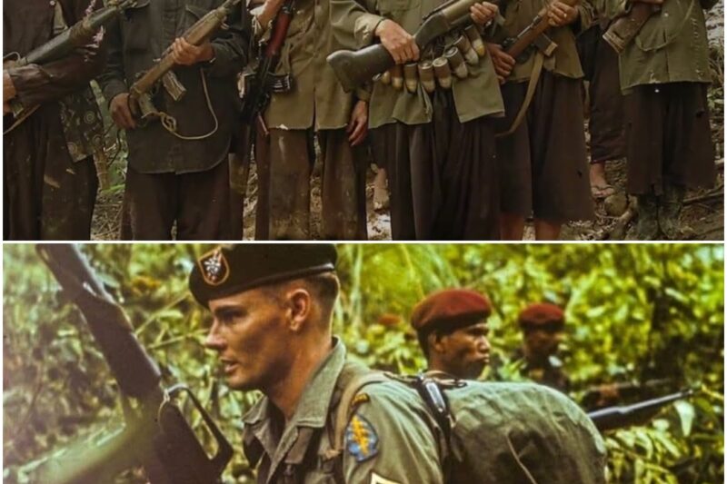 NVA Trackers Followed the Trail… Then Realized MACV-SOG Was Hunting Them D