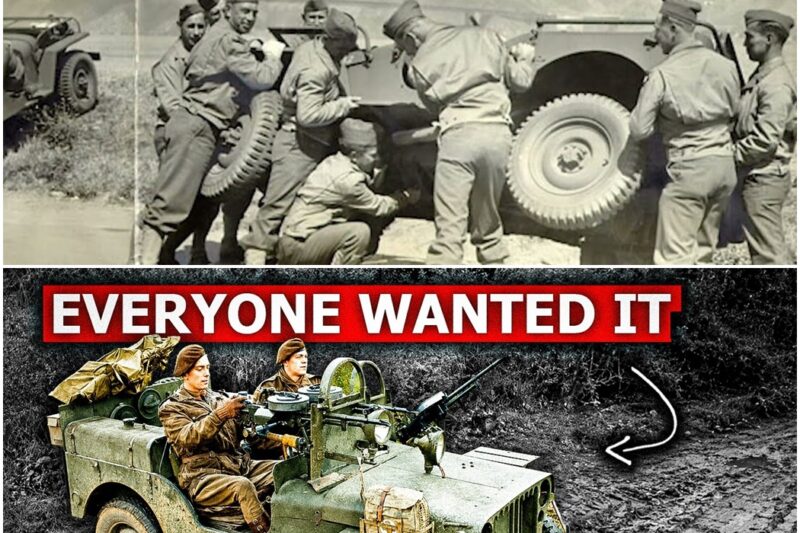 Why German Engineers Were Puzzled By U.S. Jeeps Passing Where Their Half-Tracks Got Stuck D