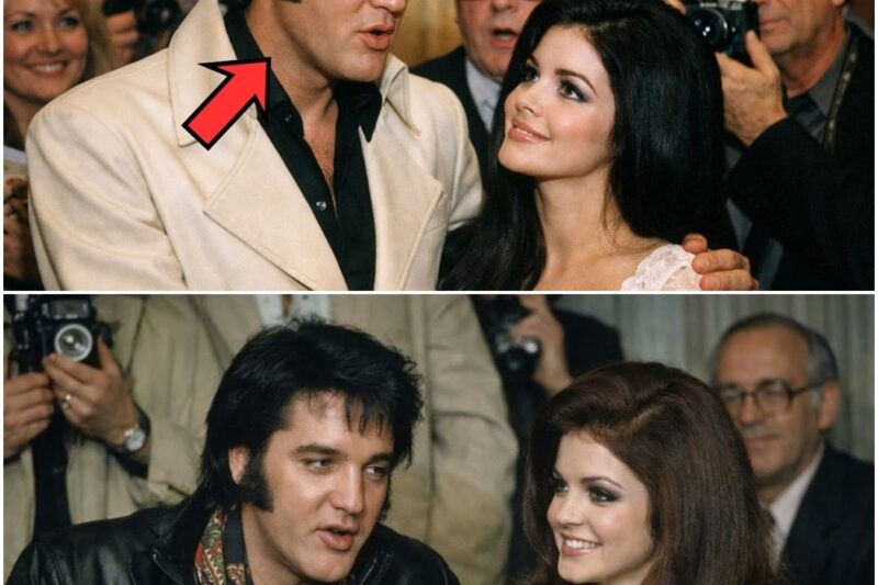 Elvis SHOCKED Everyone When He Revealed Who “Always on My Mind” Was Really For D