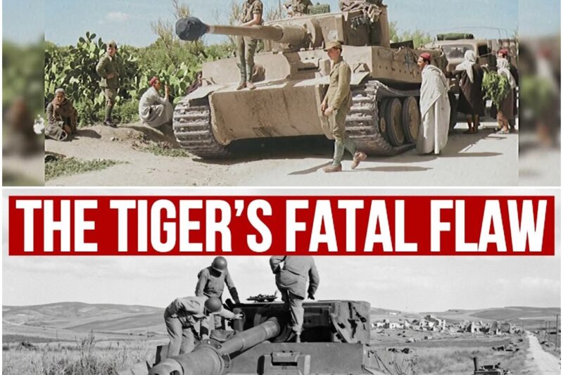 American Soldiers Found an Abandoned Tiger Tank. What They Discovered Inside Changed the War D