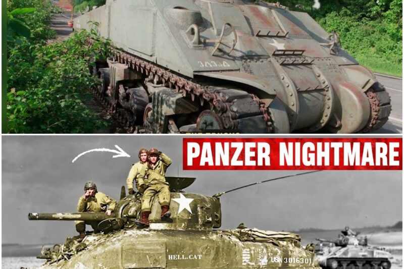 Why a ‘Texas Farmer’ Destroyed 258 German Tanks in 81 Days With the Same 4 Man Crew D
