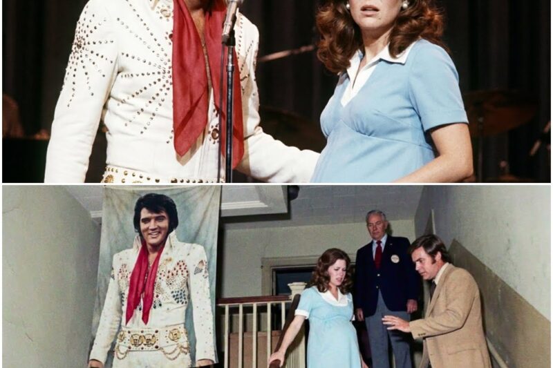 Elvis STOPPED Singing When a Pregnant Woman Screamed From the Balcony — What Happened Next Silenced D