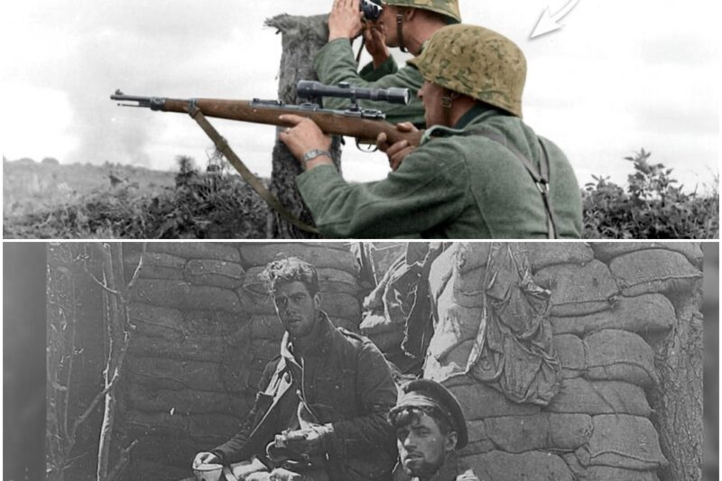 Why German Snipers Dreaded Facing Canadians More Than Anyone D