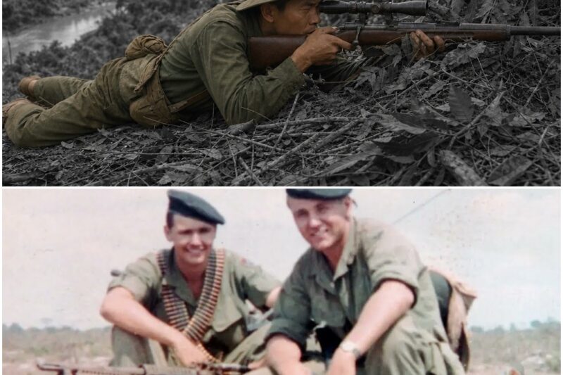 A Viet Cong Sniper Watched American Marines for 2 Weeks — What He Wrote Stunned NVA Command D