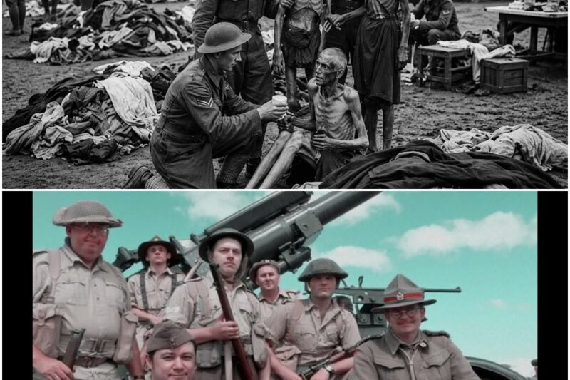 What Shocked Axis Prisoners Most When They First Encountered the Kiwis? D