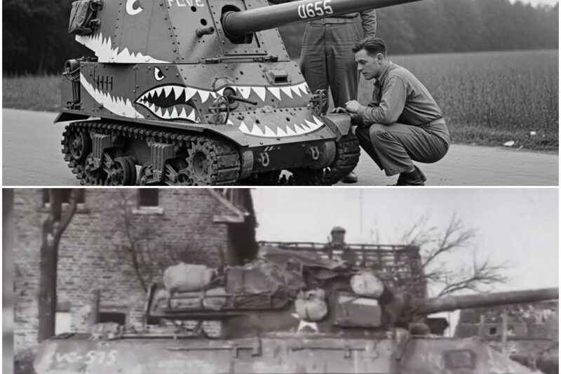 Germans Couldn’t Stop This ‘Toy-Sized’ Tank — Until It Destroyed 15 Panthers in One Morning D