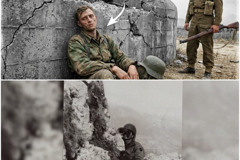 What German Paratroopers Admitted After Canadians Broke the ‘Unbreakable’ Line D