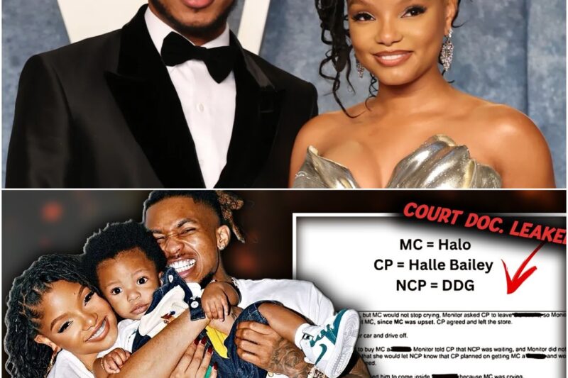 DDG in TEARS! Halo REFUSES Custody Exchange – Court Files Spill All!