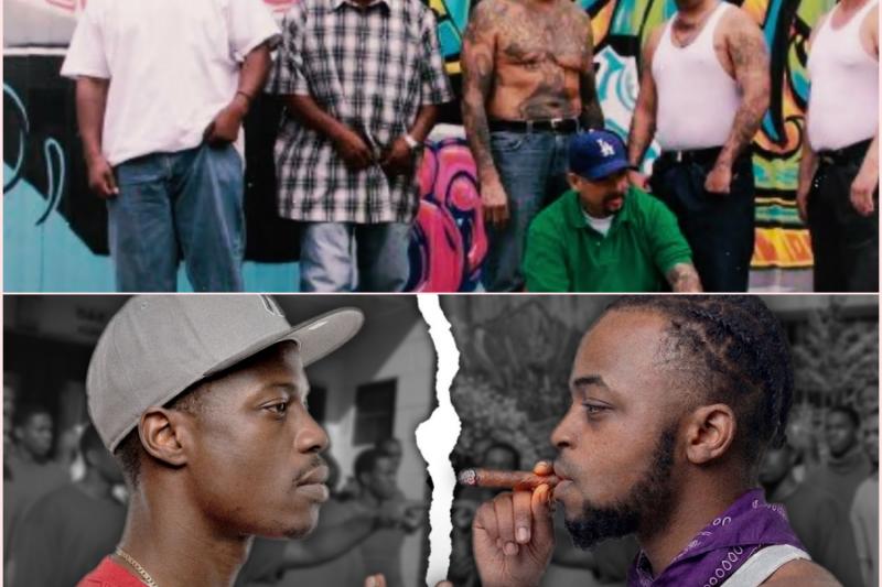Over 300 K*lls! The 50 YEAR Gang War Still Ongoing | BH Bloods VS. CS Crips 