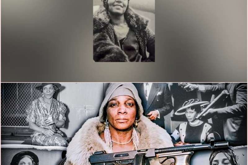 The Harlem Woman Who Took On The Italian Mob.. and WON | Stephanie St. Clair’s Story