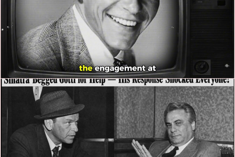 Frank Sinatra Begged John Gotti for Help — What Gotti Did Next No One Expected 