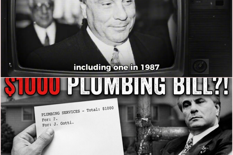 Plumber Showed Up to Fix a Leak at John Gotti’s House — Handed Him a Bill for $1000 