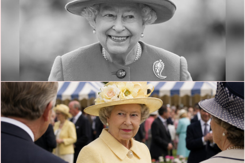 Queen Elizabeth II: She Saw the Problem Before Anyone Spoke 