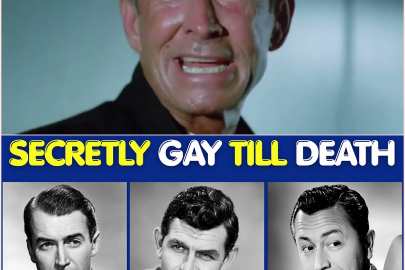 10 Old Hollywood Actors Who Kept Their Gay Lives Hidden Forever | Old Hollywood Secrets 