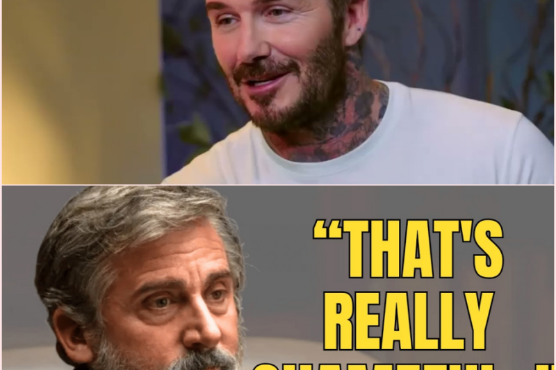 Steve Carell First Time Reveals The Truth About Why He Left The Office 