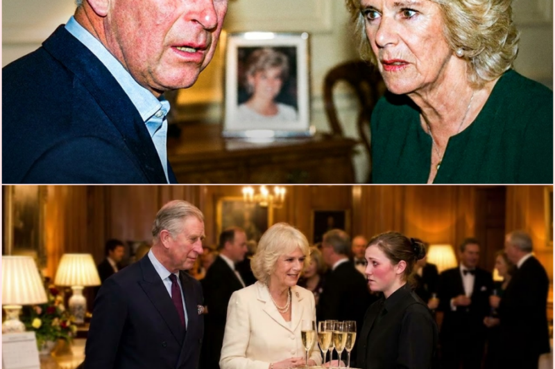 Charles Caught Camilla in Diana’s Old Room — What Happened Next Was Unexpected – HT