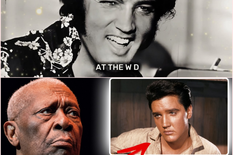 BB King’s Elvis Comments Are Changing How Fans See The King