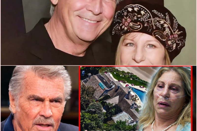 BARBRA STREISAND’S Last Will – Who Gets Her $400 MILLION Fortune Will SHOCK You!