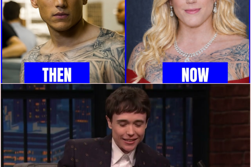 15 Celebrities You Didn’t Know Were Transgender – Then & Now 2026