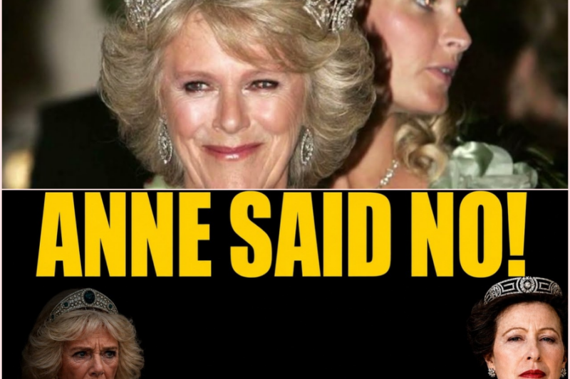 PRINCESS STRIKES BACK: The Queen Mother’s Diamonds Anne REFUSED to Give Camilla!