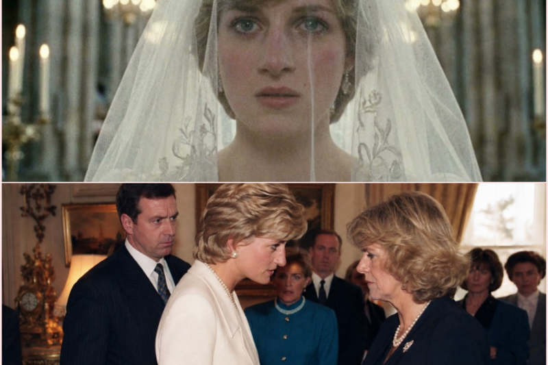 Diana’s Bodyguard Watched Her Walk Up to Camilla — What He Heard Still Haunts Him –