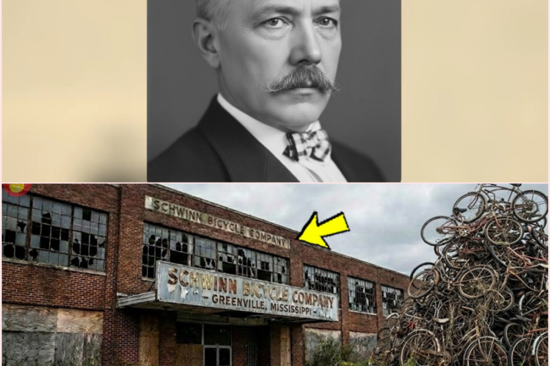What Happened to Schwinn? The Rise and Fall of America’s Bicycle Empire 