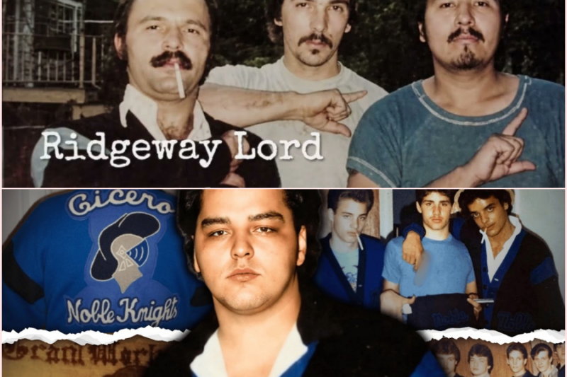 Noble Knights: The Infamous Street Gang Cicero Forgot 